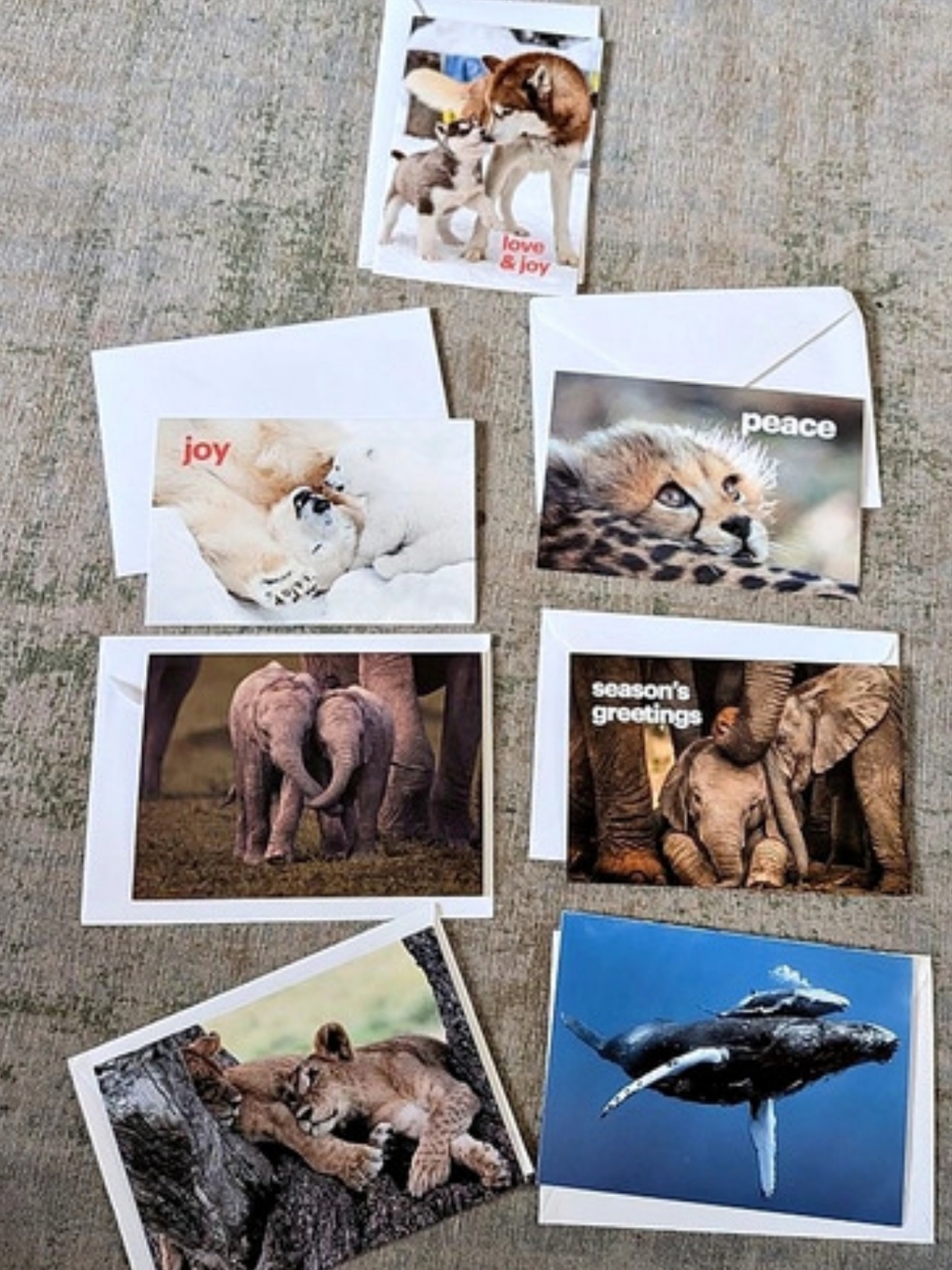 Brand New 7 Pcs IFAW Animal-Themed Holiday Blank Cards With Envelopes